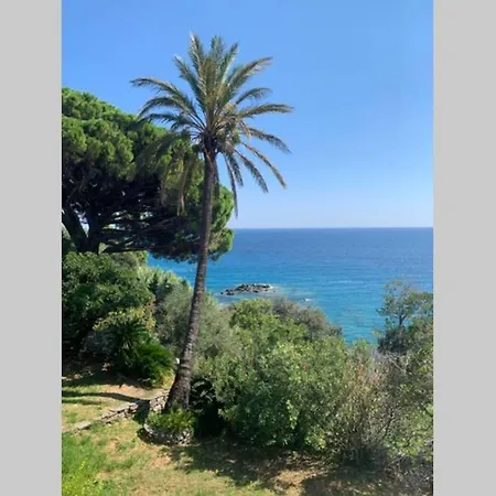 Sabbia Bianca Piscine Erbalunga Villa *